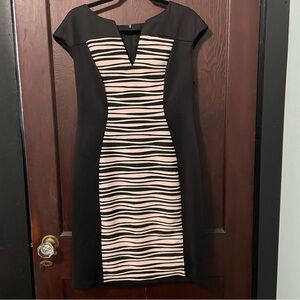 Dress Barn Size 12 Dress NWT
